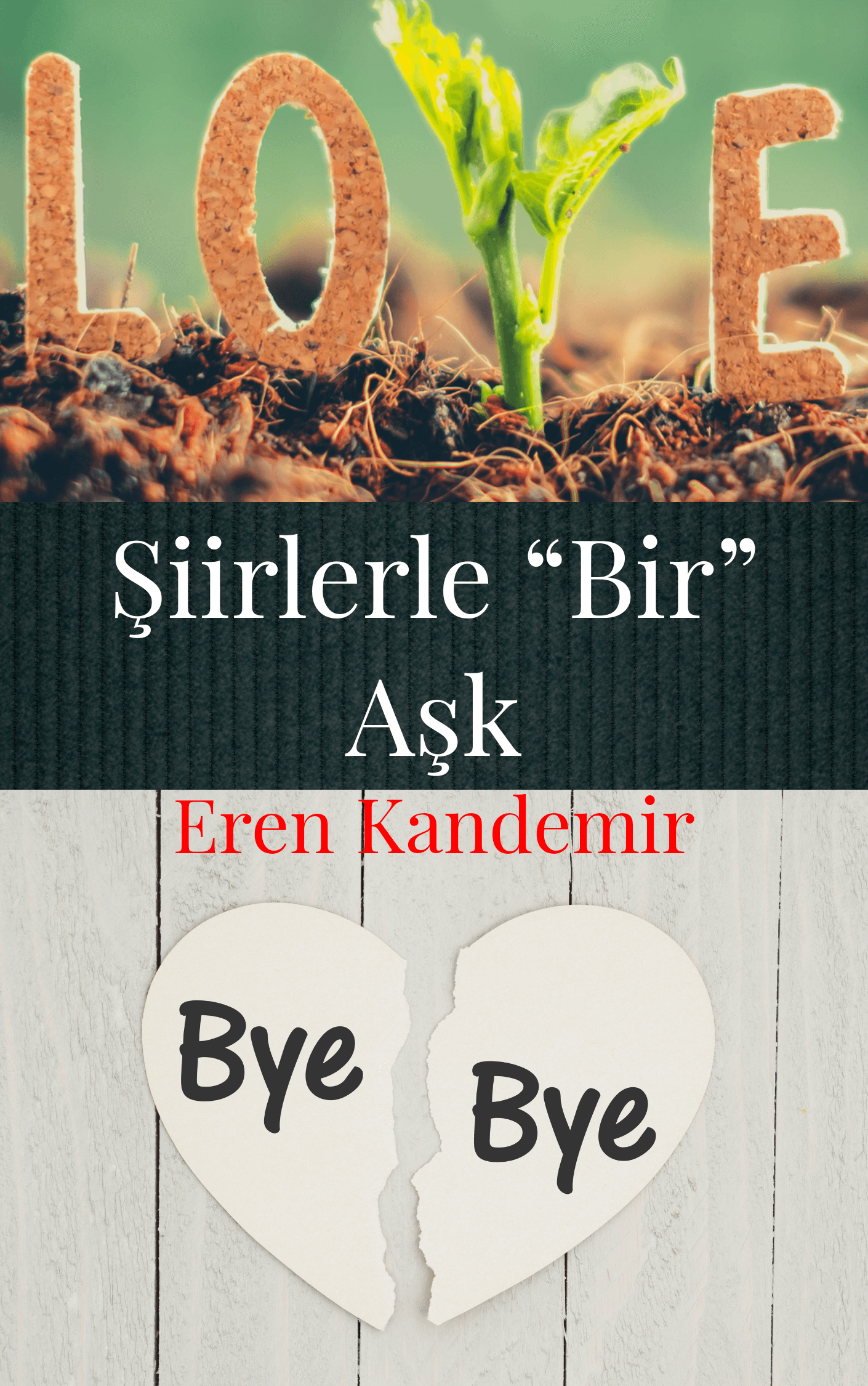 Şiirlerle Bir Aşk Book Cover